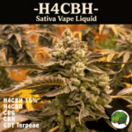 H4CBH15