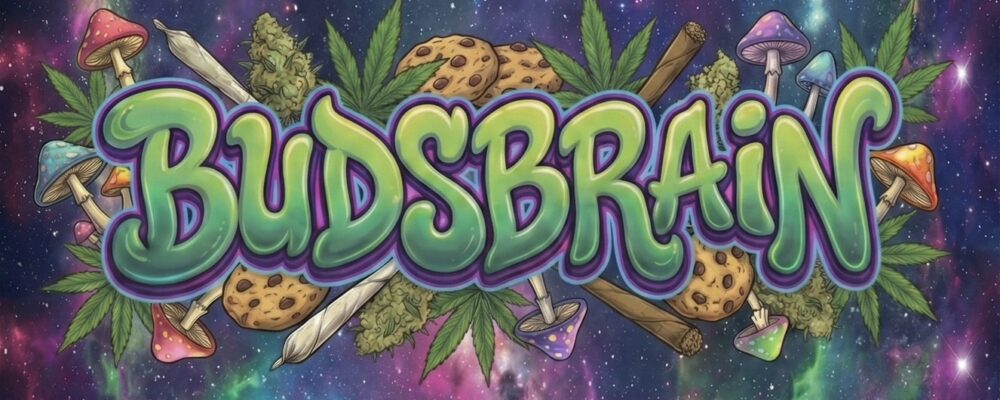 BudsBrain
