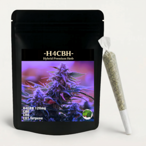 H4CBH Joint