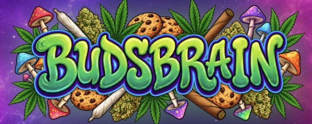 BudsBrain